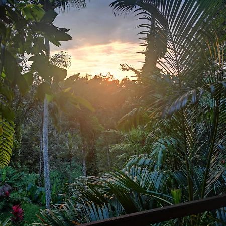 Villa Rimba Ubud Tegallalang  Eksteriør billede