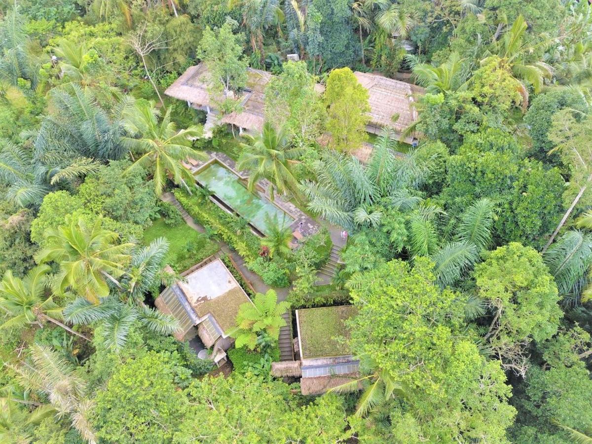 Villa Rimba Ubud Tegallalang  Eksteriør billede