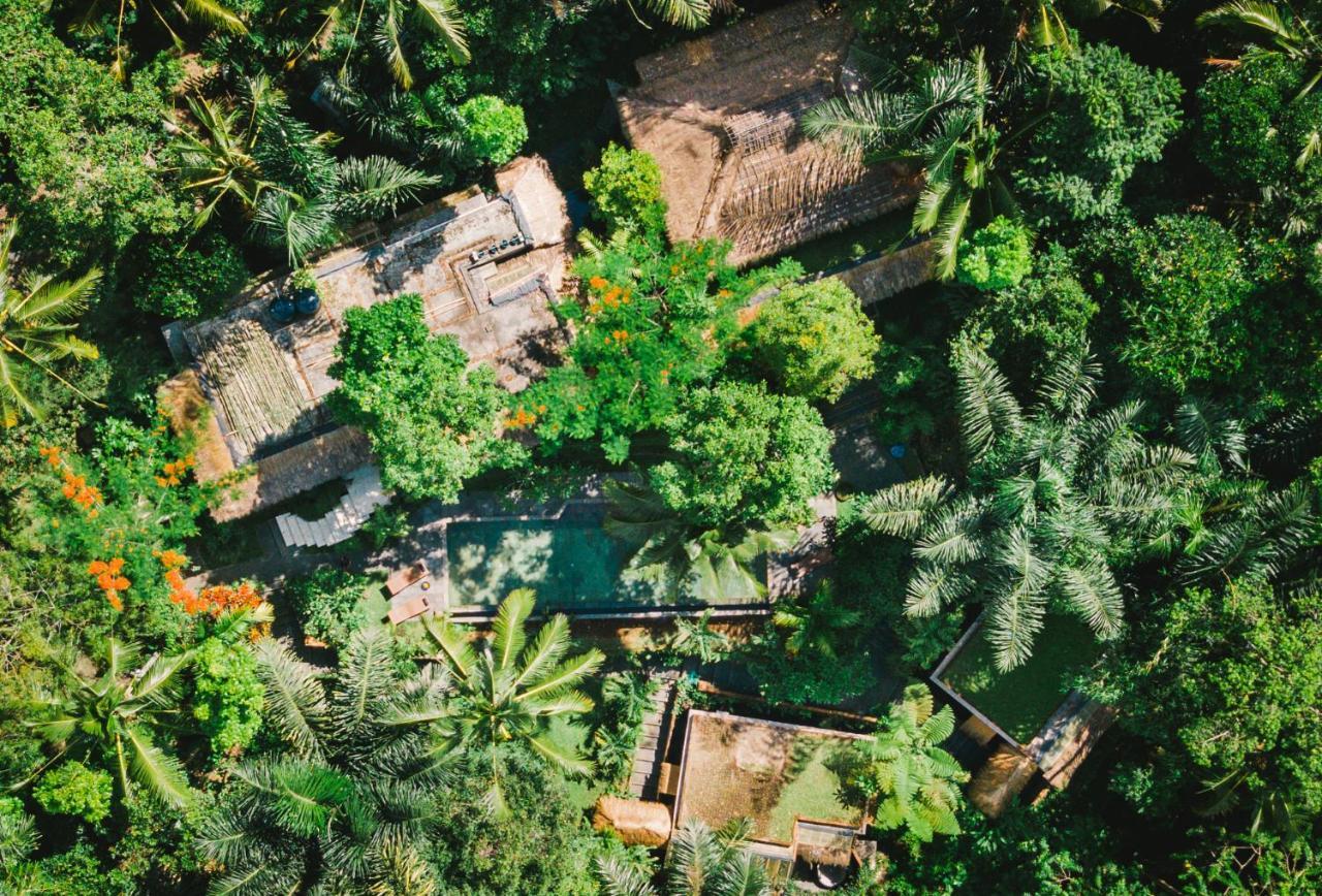Villa Rimba Ubud Tegallalang  Eksteriør billede
