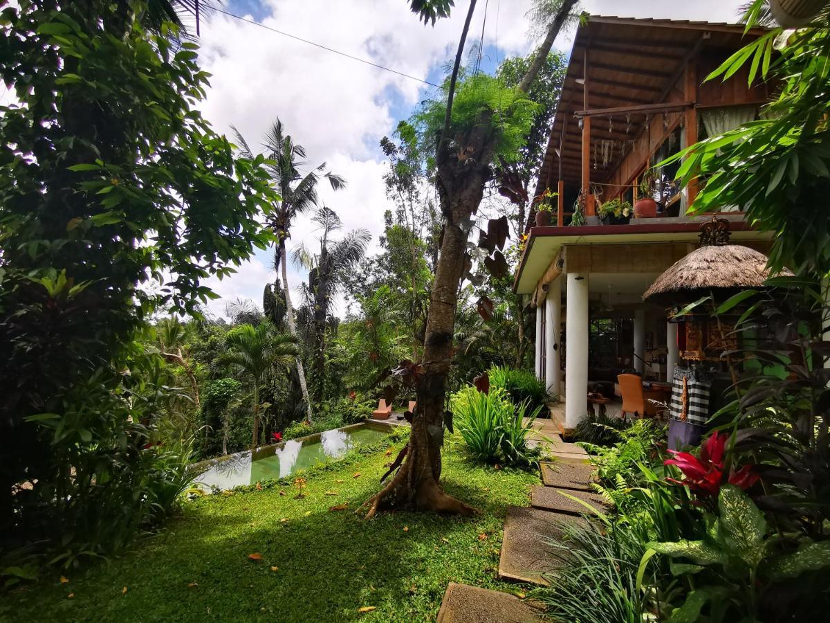 Villa Rimba Ubud Tegallalang  Eksteriør billede