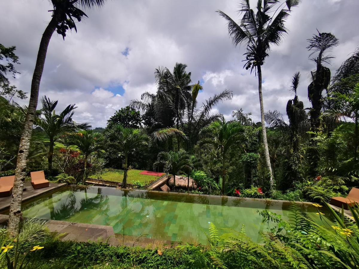 Villa Rimba Ubud Tegallalang  Eksteriør billede