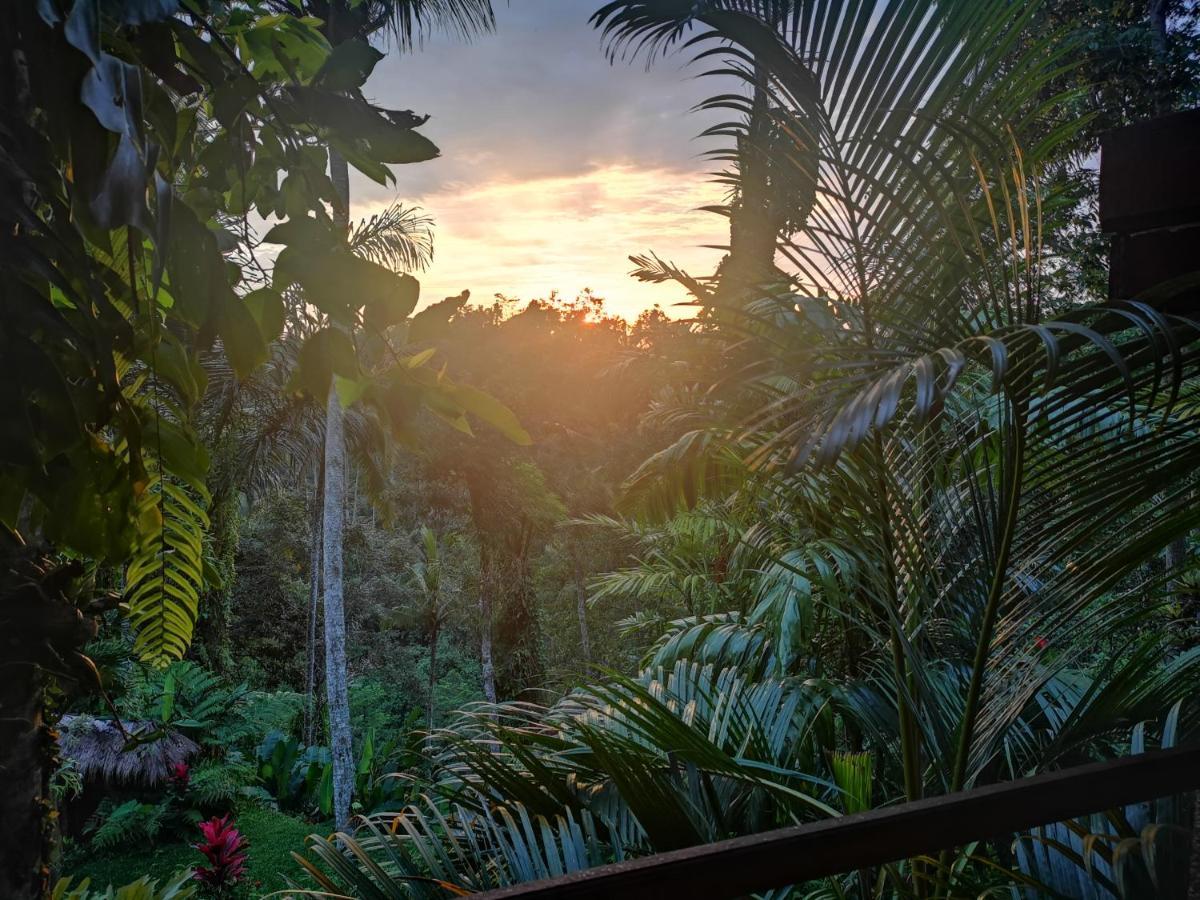 Villa Rimba Ubud Tegallalang  Eksteriør billede