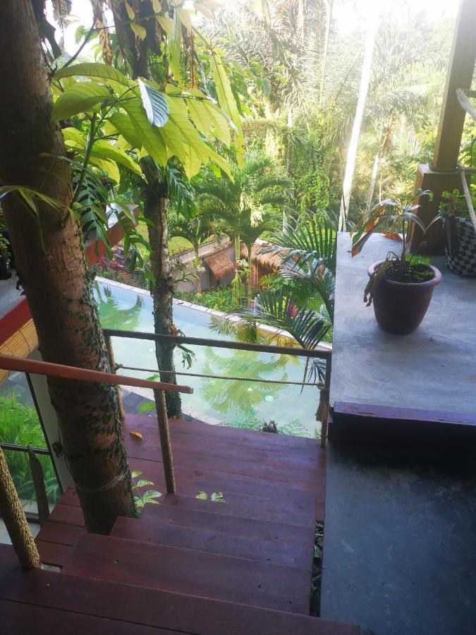 Villa Rimba Ubud Tegallalang  Eksteriør billede