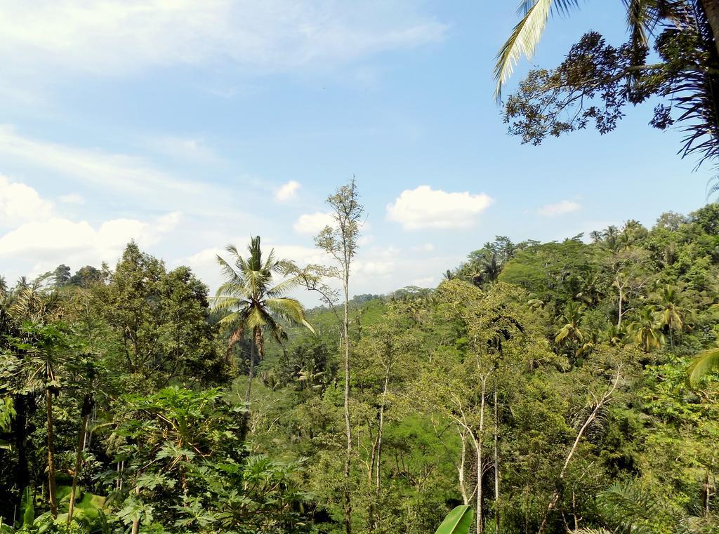 Villa Rimba Ubud Tegallalang  Eksteriør billede